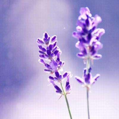 星空XK官方入口