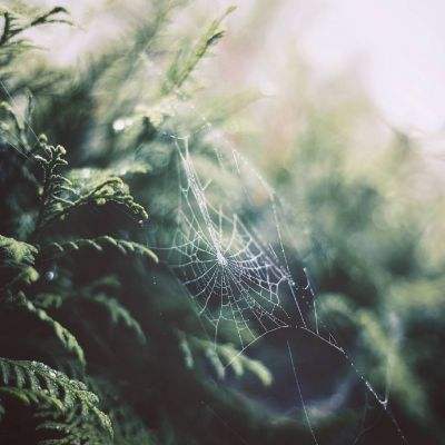 半岛全站app下载截图